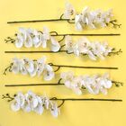 Orquídea Artificial Toque Real Branca Kit 9 Un | Formosinha